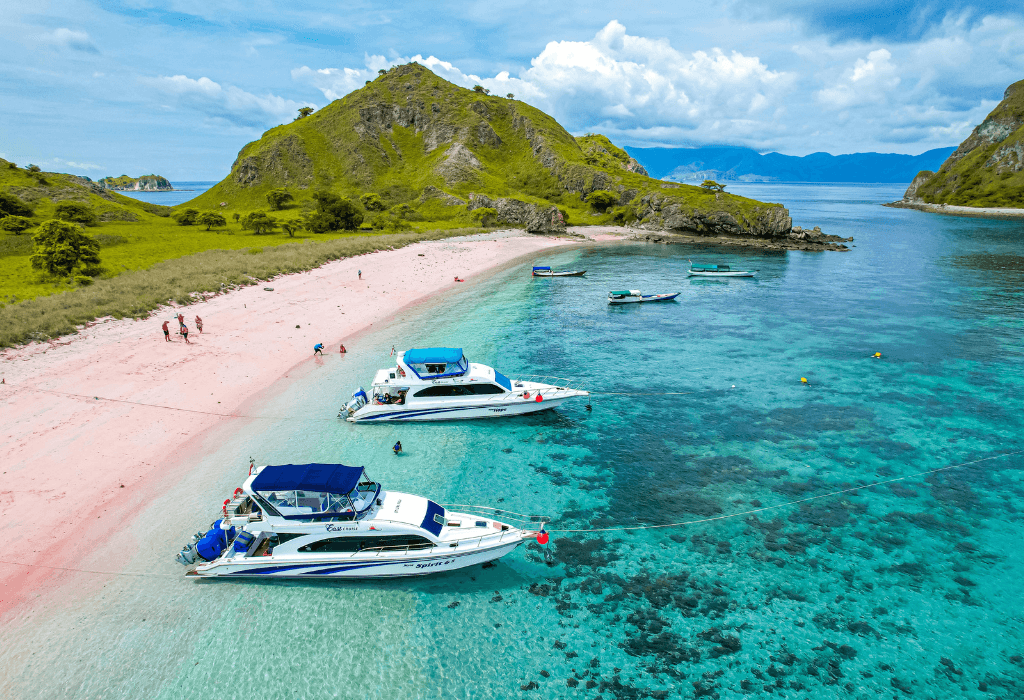 pink beach komodo