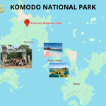 komodo national park maps, komodo island tour packages, komodo trip from lombok, komodo trip from labuan bajo
