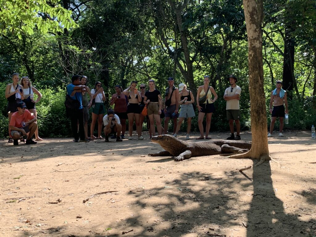 Loh Liang Komodo National Park