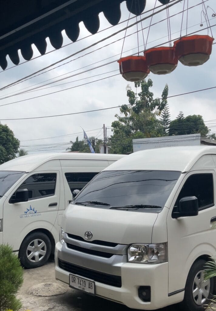 Golden Island Cruises Pick up service