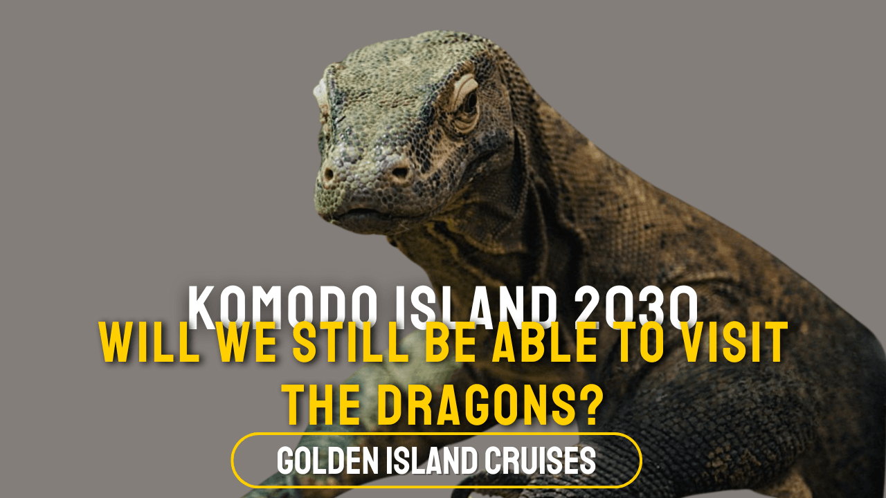Komodo dragon walking across dry savanna on Komodo Island with scenic hills in the background, komodo island 2030, komodo dragon
