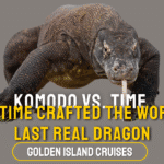 komodo dragon evolution, apex predator