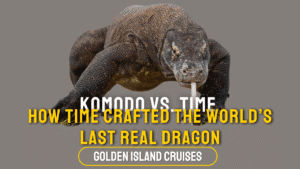komodo dragon evolution, apex predator