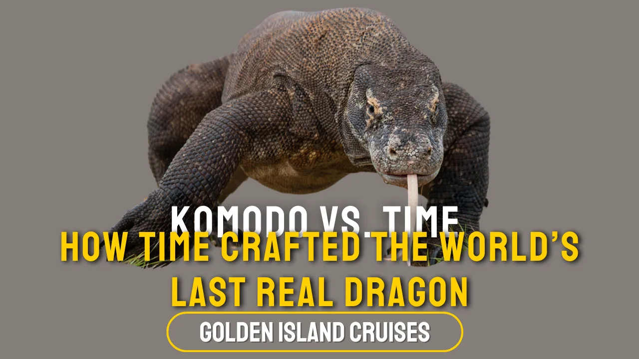 komodo dragon evolution, apex predator