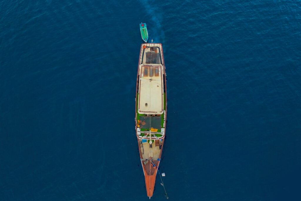 komodo trip from lombok, komodo island tour from lombok, komodo boat trip from lombok, lombok to komodo tour, komodo tour, komodo trip, komodo island tour, komodo cruise from lombok, komodo luxury cruises, komodo luxury cruises from lombok, labuan bajo to lombok, komodo island tour 4 days, komodo tour 3 days, komodo tour 2 days