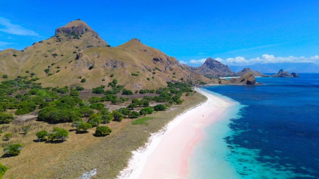 komodo trip from lombok, komodo island tour from lombok, komodo boat trip from lombok, lombok to komodo tour, komodo tour, komodo trip, komodo island tour, komodo cruise from lombok, komodo luxury cruises, komodo luxury cruises from lombok, labuan bajo to lombok, komodo island tour 4 days, komodo tour 3 days, komodo tour 2 days