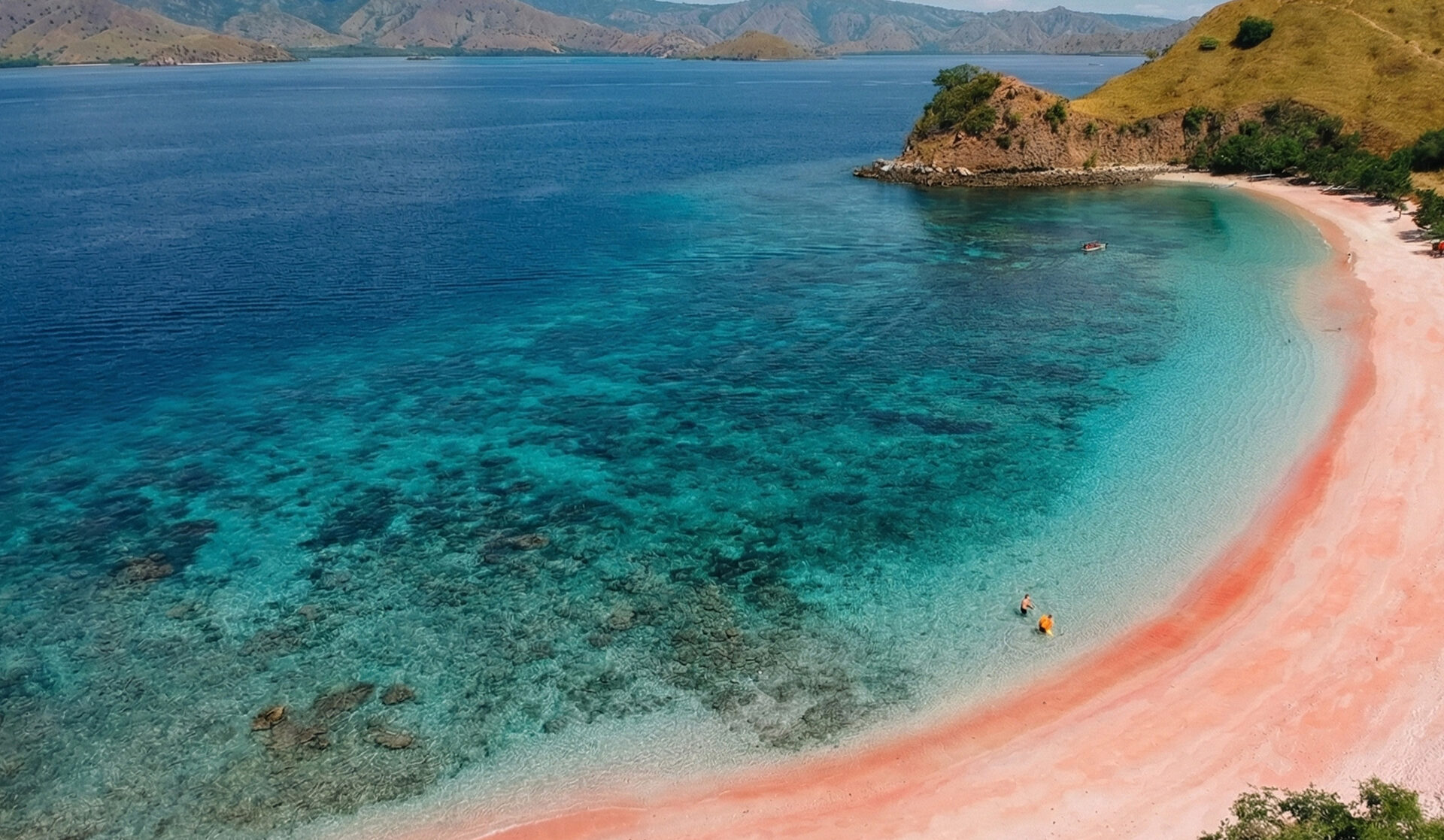 Menami Deluxe Boat, Komodo Discovery Adventure, komodo trip from lombok, komodo island tour from lombok, komodo boat trip from lombok, lombok to komodo tour, komodo tour, komodo trip, komodo island tour, komodo cruise from lombok, komodo luxury cruises, komodo luxury cruises from lombok, labuan bajo to lombok, komodo island tour 4 days, komodo tour 3 days, komodo tour 2 days