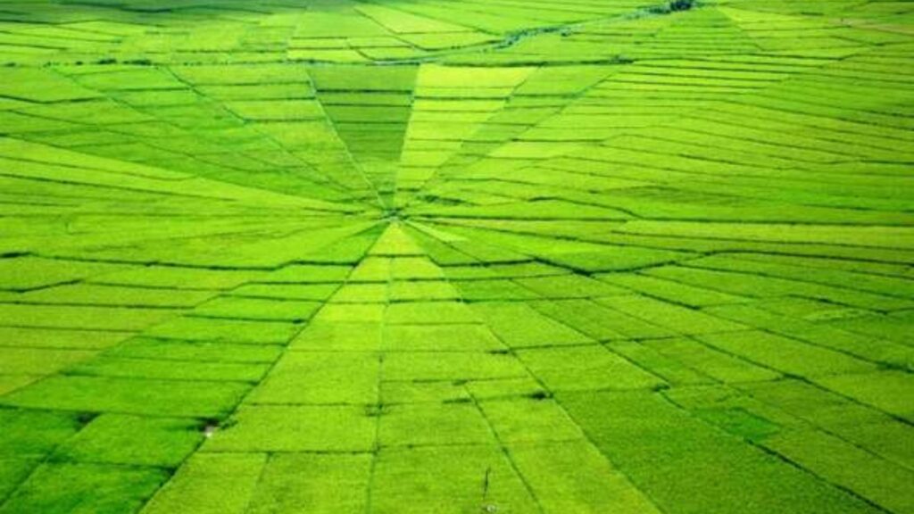 wae rebo tour, wae rebo village tour, tour wae rebo