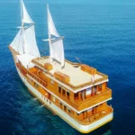 open trip komodo, komodo island tour, komodo tour, 2 days 1 night komodo tour, komodo tour labuan bajo