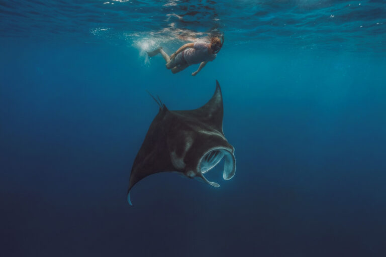 komodo trip from lombok, komodo island tour from lombok, komodo boat trip from lombok, lombok to komodo tour, komodo tour, komodo trip, komodo island tour, komodo cruise from lombok, komodo luxury cruises, komodo luxury cruises from lombok, labuan bajo to lombok, komodo island tour 4 days, komodo tour 3 days, komodo tour 2 days