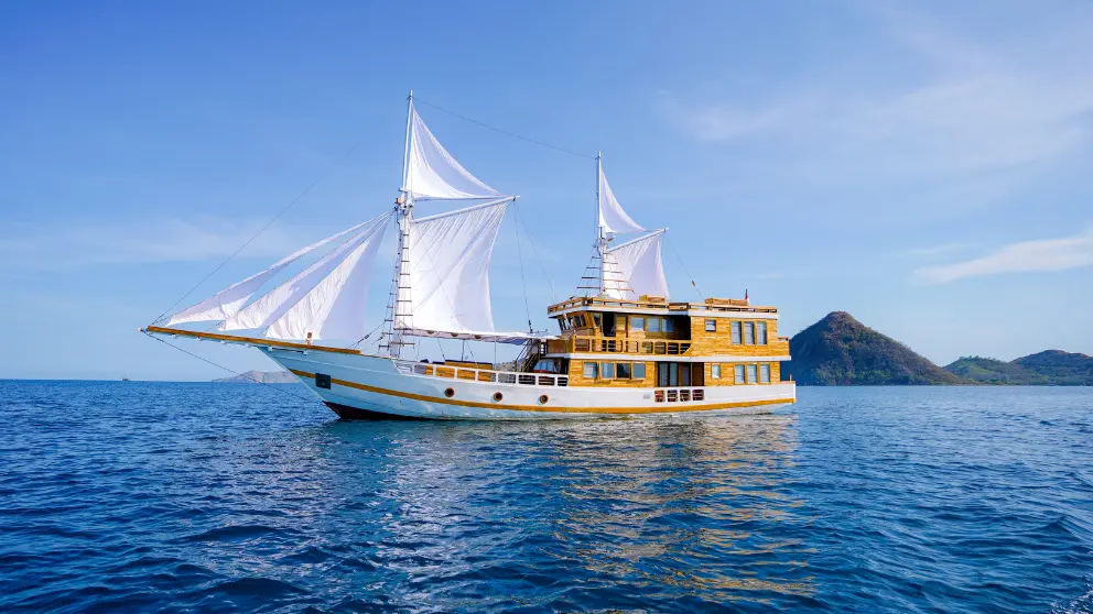 komodo island tour, komodo tour​, komodo boat tour​, komodo island boat tour​