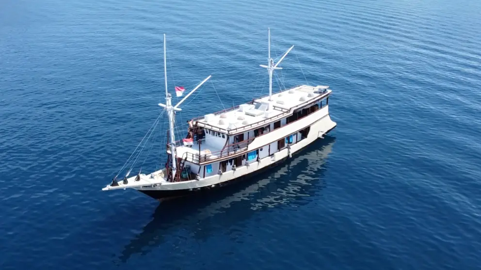 komodo island tour, komodo tour, komodo boat tour, komodo island boat tour