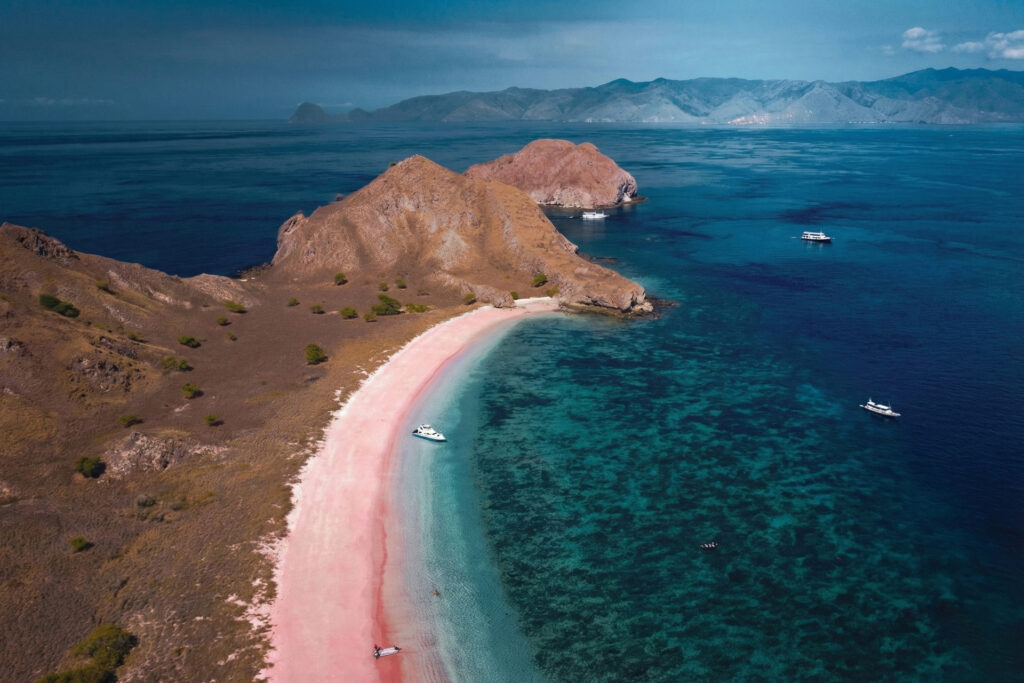 komodo trip from lombok, komodo island tour from lombok, komodo boat trip from lombok, lombok to komodo tour, komodo tour, komodo trip, komodo island tour, komodo cruise from lombok, komodo luxury cruises, komodo luxury cruises from lombok, labuan bajo to lombok, komodo island tour 4 days, komodo tour 3 days, komodo tour 2 days