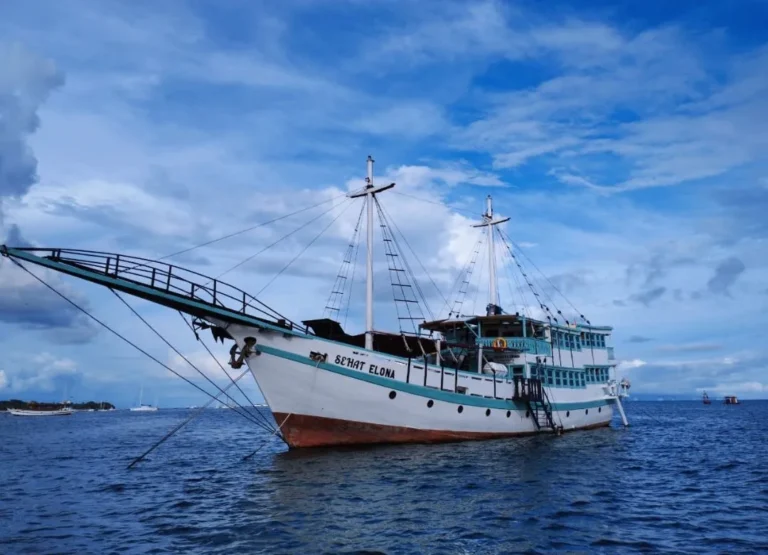 Sehat Elonal Komodo Luxury Cruise from lombok