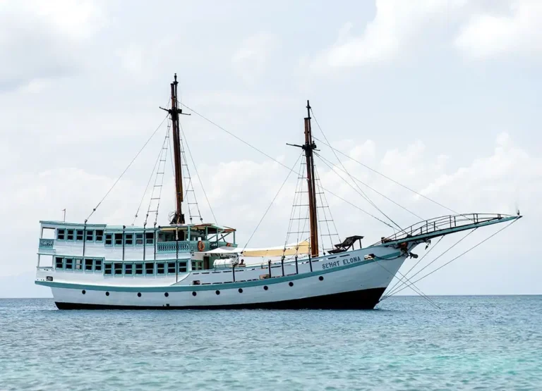 komodo trip from lombok, komodo island tour from lombok, komodo boat trip from lombok, lombok to komodo tour, komodo tour, komodo trip, komodo island tour, komodo cruise from lombok, komodo luxury cruises, komodo luxury cruises from lombok, labuan bajo to lombok, komodo island tour 4 days, komodo tour 3 days, komodo tour 2 days