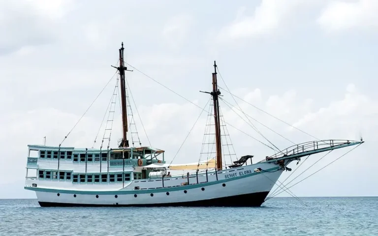komodo trip from lombok, komodo island tour from lombok, komodo boat trip from lombok, lombok to komodo tour, komodo tour, komodo trip, komodo island tour, komodo cruise from lombok, komodo luxury cruises, komodo luxury cruises from lombok, labuan bajo to lombok, komodo island tour 4 days, komodo tour 3 days, komodo tour 2 days