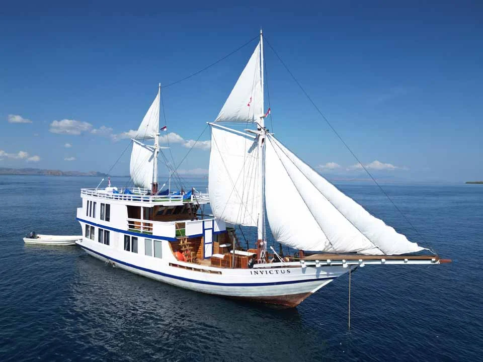 3d2n komodo tour, 2d1n komodo tour, komodo island tour