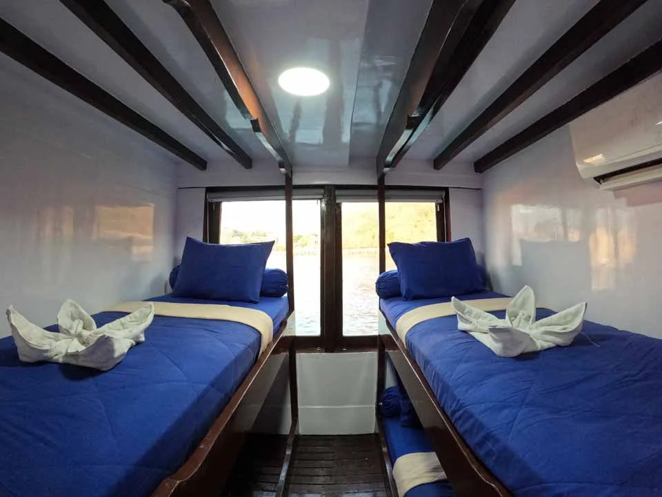 Shared Cabin
