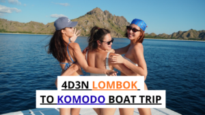 4D3N LOMBOK TO KOMODO BOAT TRIP