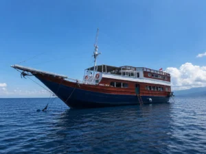 komodo island tour, komodo tour​, komodo boat tour​, komodo island boat tour​, Boat Trip Komodo