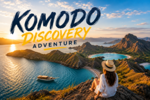 Komodo Discovery Adventure
