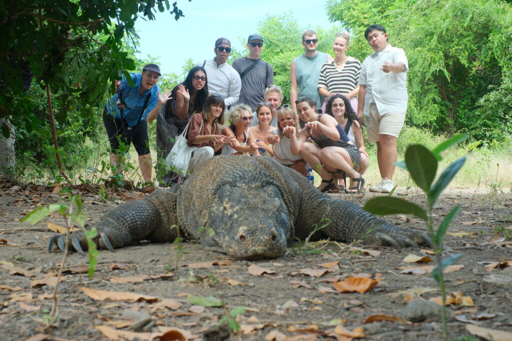 Komodo Discovery Adventure