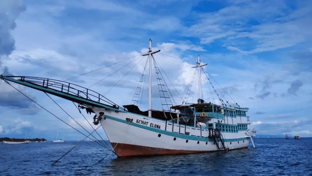 Sehat Elonal Komodo Luxury Cruise from lombok
