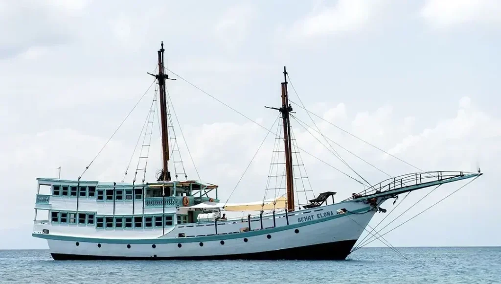 komodo trip from lombok, komodo island tour from lombok, komodo boat trip from lombok, lombok to komodo tour, komodo tour, komodo trip, komodo island tour, komodo cruise from lombok, komodo luxury cruises, komodo luxury cruises from lombok, labuan bajo to lombok, komodo island tour 4 days, komodo tour 3 days, komodo tour 2 days