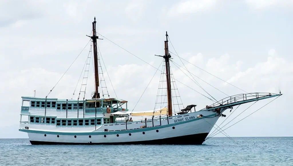 komodo trip from lombok, komodo island tour from lombok, komodo boat trip from lombok, lombok to komodo tour, komodo tour, komodo trip, komodo island tour, komodo cruise from lombok, komodo luxury cruises, komodo luxury cruises from lombok, labuan bajo to lombok, komodo island tour 4 days, komodo tour 3 days, komodo tour 2 days